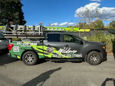Vehicle Wraps Photo